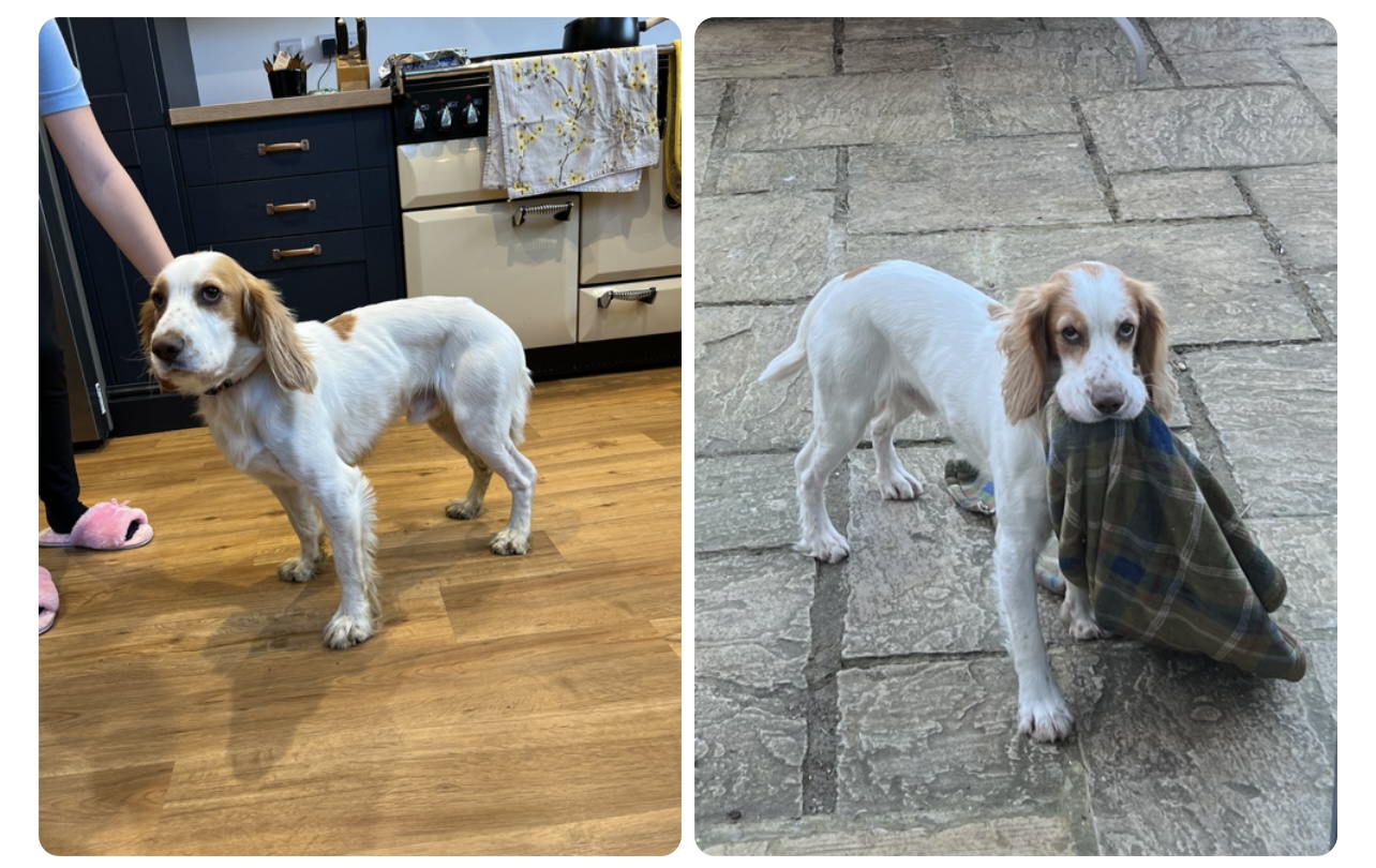Webber’s Journey to Better Health !